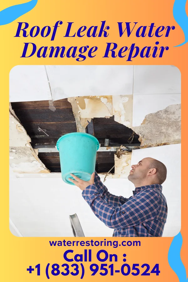 Roof Leak Water Damage Repair in Bunkie, LA