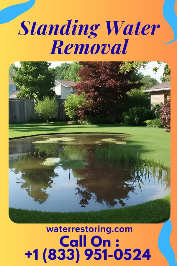 Standing Water Removal in Bunkie, LA